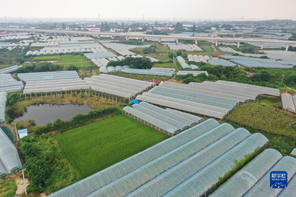 拉霸360是哪的公司